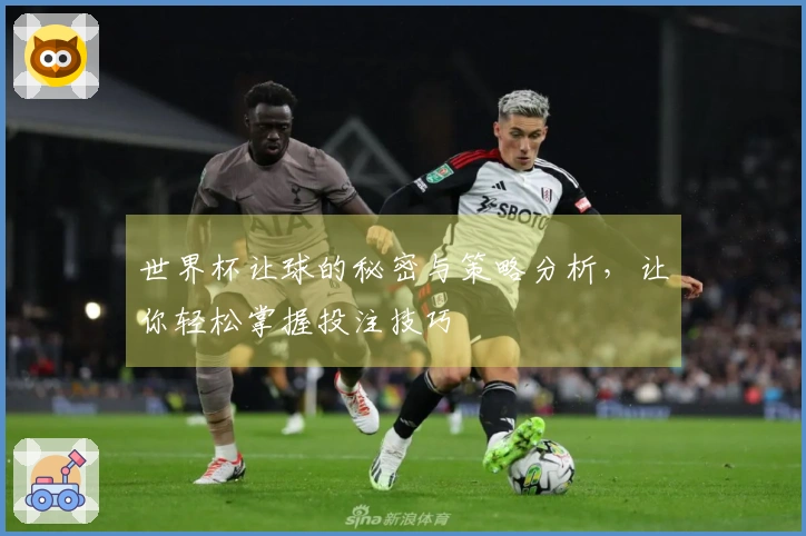 世界杯让球的秘密与策略分析，让你轻松掌握投注技巧