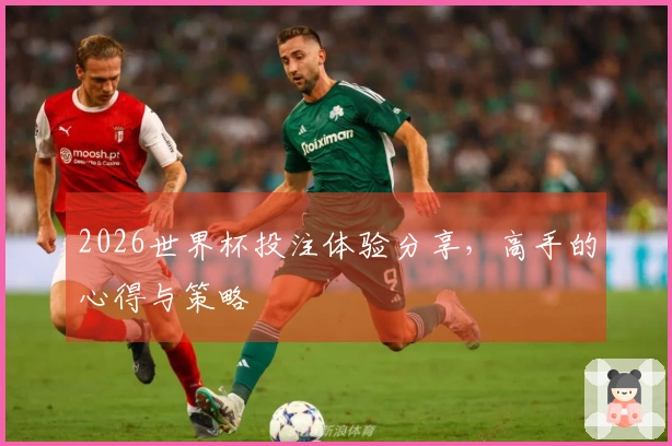 2026世界杯投注体验分享，高手的心得与策略