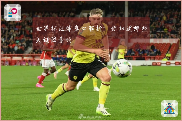 世界杯让球盘口解析：你知道哪些关键因素吗