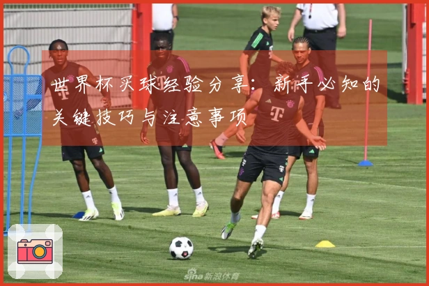 世界杯买球经验分享：新手必知的关键技巧与注意事项