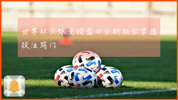 世界杯买球竞猜盘口分析助你掌握投注窍门