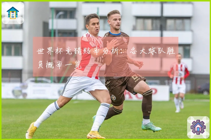 世界杯竞猜赔率分析：各大球队胜负概率一览