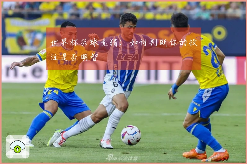 世界杯买球竞猜：如何判断你的投注是否明智