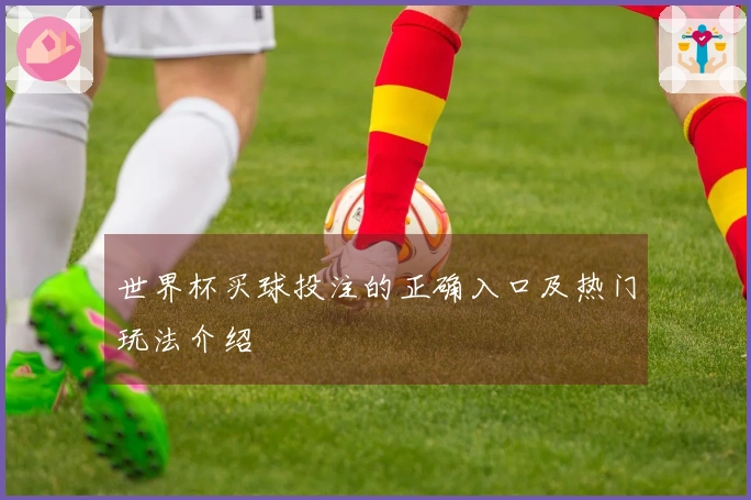世界杯买球投注的正确入口及热门玩法介绍