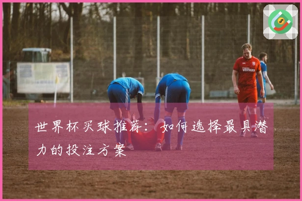 世界杯买球推荐：如何选择最具潜力的投注方案