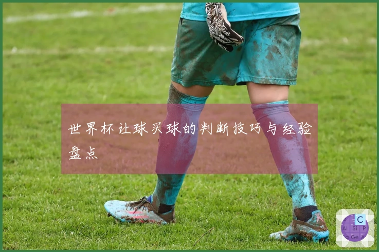 世界杯让球买球的判断技巧与经验盘点