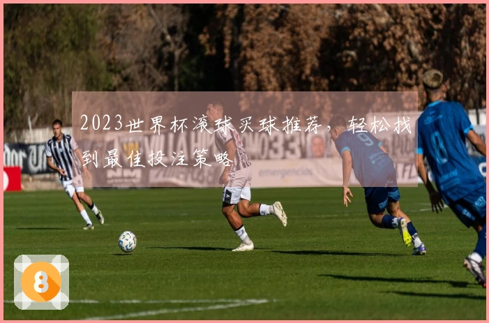 2023世界杯滚球买球推荐，轻松找到最佳投注策略