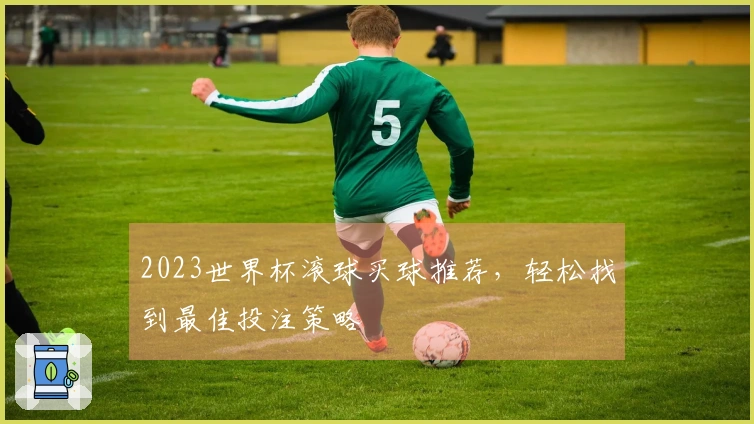 2023世界杯滚球买球推荐，轻松找到最佳投注策略