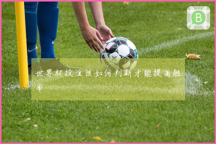 世界杯投注该如何判断才能提高胜率