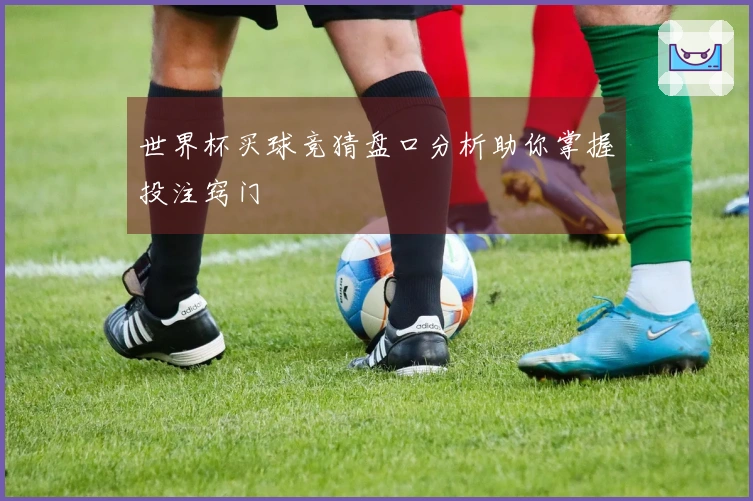 世界杯买球竞猜盘口分析助你掌握投注窍门