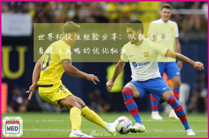 世界杯投注经验分享：从数据分析看投注策略的优化秘诀