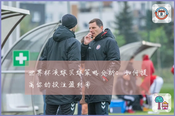 世界杯滚球买球策略分析：如何提高你的投注盈利率