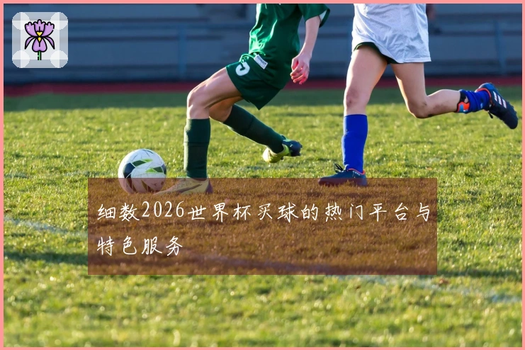 细数2026世界杯买球的热门平台与特色服务