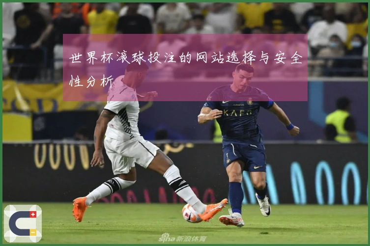 世界杯滚球投注的网站选择与安全性分析