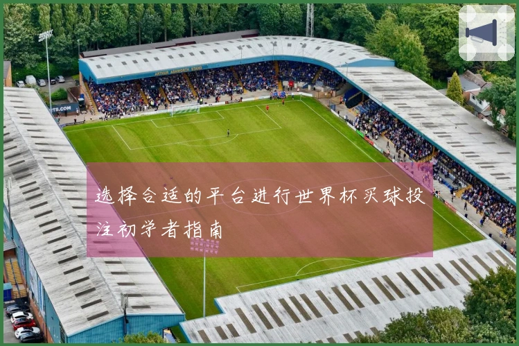 选择合适的平台进行世界杯买球投注初学者指南