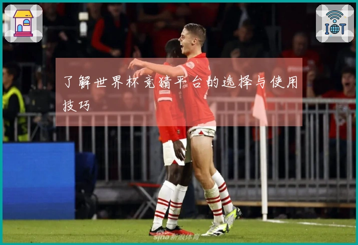 了解世界杯竞猜平台的选择与使用技巧