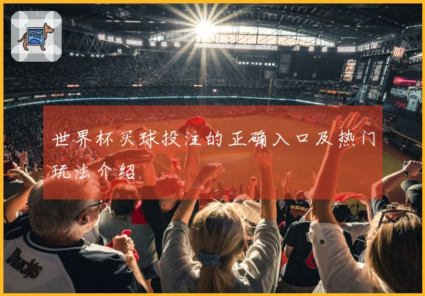 世界杯买球投注的正确入口及热门玩法介绍